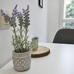 Duplex Prime Location 2bth 2 Feriehus Sofia