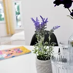Feriehus Duplex Prime Location 2bth 2 *