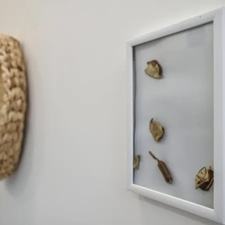 Duplex Prime Location 2bth 2 Nyaraló