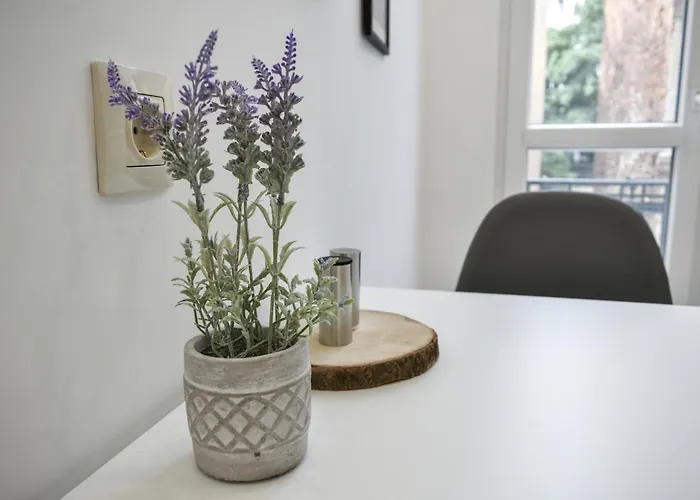 Duplex Prime Location 2bth 2 Sofia